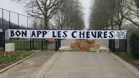 Supporteurs Charleroi