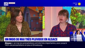 Strasbourg: les précipitations en forte hausse en mai