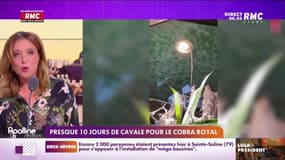 L'histoire de Marguerite Dumont : Presque dix jours de cavale pour le cobra royal - 31/10