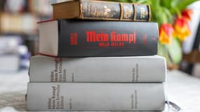 L'édition critique en Polonais de "Mein Kampf", une édition originale du livre de 1942 et une édition critique en Allemand, à Varsovie, le 15 janvier 2021 (photo d'illustration).