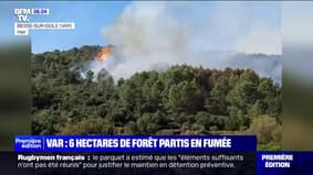 Dans le Var, l'incendie, qui a consumé six hectares de forêt a été fixé à Besse-sur-Issole