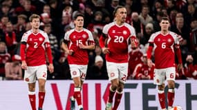 Les Danois s'imposent face à la Slovénie, le 17 novembre 2023.