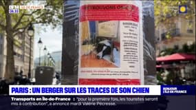 Paris: un berger recherche son chien, disparu près de la gare de Lyon