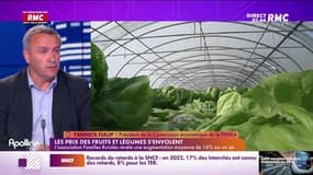 Fialip : "Nos filières sont en compétition avec des pays qui ne respectent pas les mêmes normes"