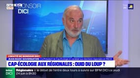 Régionales en PACA: Pour Jean-Marc Governatori il est "indispensable" de "réduire la taille des troupeaux" pour éviter les attaques de loups
