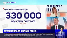 Les contrats d'apprentissage dopent l'emploi des jeunes en France 