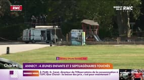 Annecy: 4 jeunes enfants et 2 septuagénaires touchés 