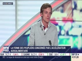 La Ferme des Peupliers concernée par l’accélérateur agroalimentaire - 10/04