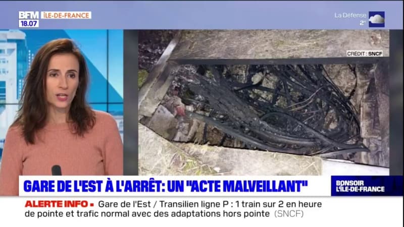 Gare de l'Est: ce que l'on sait sur "l'incendie volontaire" qui a totalement paralysé le trafic