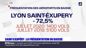 Aéroport Lyon-Saint-Exupéry: la fréquentation en baisse de 72,5%