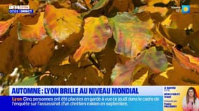 Automne : Lyon brille au niveau mondial