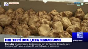 Salon de l'agriculture: le lin, fierté locale dans l'Eure, se mange aussi