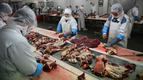 Début septembre, le gouvernement promettait un "plan de modernisation des abattoirs" afin de "mieux répondre aux exigences d'hygiène alimentaire et de protection animale".