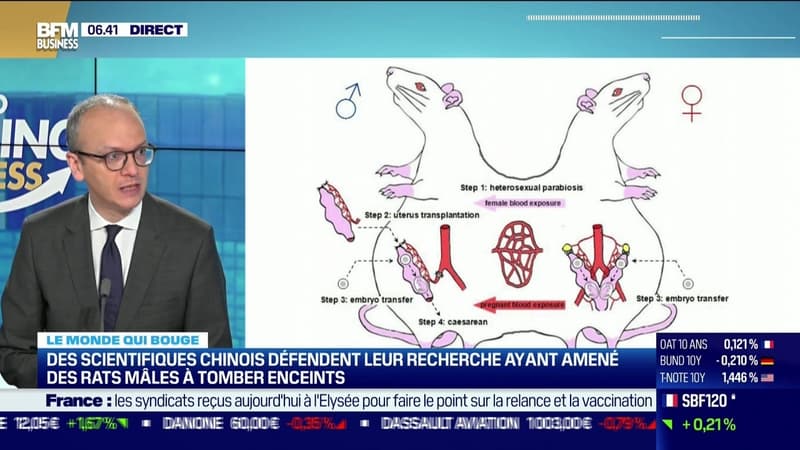 Benaouda Abdeddaïm : Des scientifiques chinois défendent leur recherche ayant amené des rats mâles à tomber enceints - 06/07