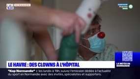 Le Havre: des clowns rendent visite aux enfants malades