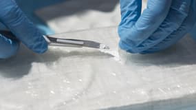 Un agent du National Forensic Science Institute fait des prélèvements de cocaïne saisie, à Pedro Brand, en République dominicaine, le 11 mai 2017