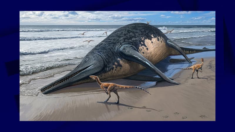 Un ichtyosaure géant conceptualisé pour la revue Plos One, dans une étude publiée le 17 avril 2024.