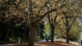 Au parc des Buttes-Chaumont à Paris, le 3 août 2022