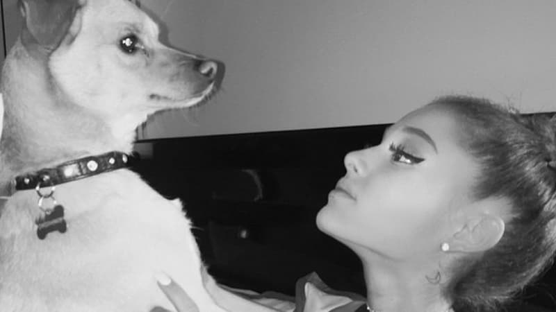 Ariana Grande avec l'un de ses chiens