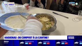 Bas-Rhin: les élèves découvrent les joies du compost à la cantine scolaire d'Haguenau