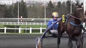 Hippisme : Timoko peut-il prendre sa revanche lors du Grand Prix de France ? 