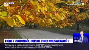 Ile-de-France: la ligne 1 du métro prolongée, le bois de Vincennes menacé?