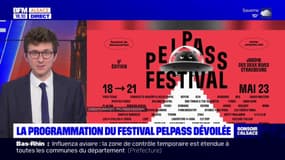 Strasbourg: la programmation du festival Pelpass dévoilée