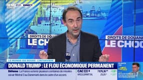 "Donald Trump a un instrument, ce sont les droits de douane, et il essaye de faire plusieurs choses avec cet instrument" indique Lionel Fontagné, professeur d'économie