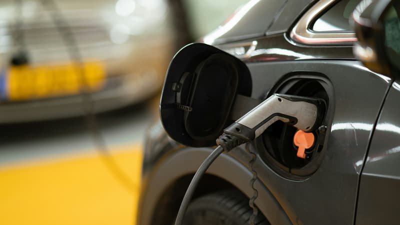 Malgré le "contexte difficile" pour le secteur, près d'un tiers des voitures vendues dans le monde cette année seront électriques