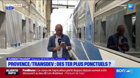 JT du Sud du lundi 19 mai