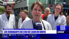 Une partie des soignants du CHU de Caen en grève ce mardi