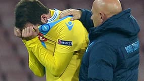 Gonzalo Higuain