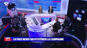Story 7 : La fake news qui hystérise la campagne présidentielle - 04/11