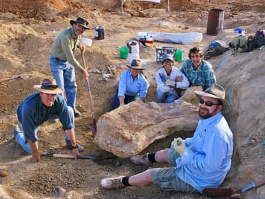 Les fossiles de dinosaure découverts dans le bassin d'Eromanga en 2006 (photo d'illustration)