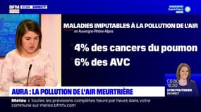 Auvergne Rhône-Alpes: la pollution de l'air causerait plus de 6000 décès par an