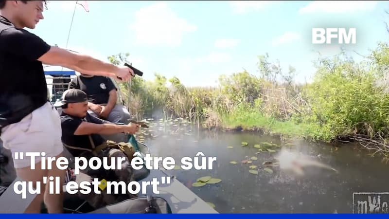 États-Unis: le streamer Clavicular fait polémique en vidant son chargeur sur un alligator