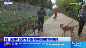 Hauts-de-Seine: la SPA quitte son refuge historique