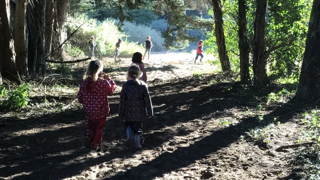 Des enfants pris en charge dans une "forest school" à Sainte-Marie-de-Ré (Charente-Maritime).