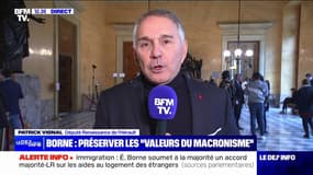 Loi immigration: "La responsabilité, elle restera au sein de la Nupes", selon Patrick Vignal (Renaissance)