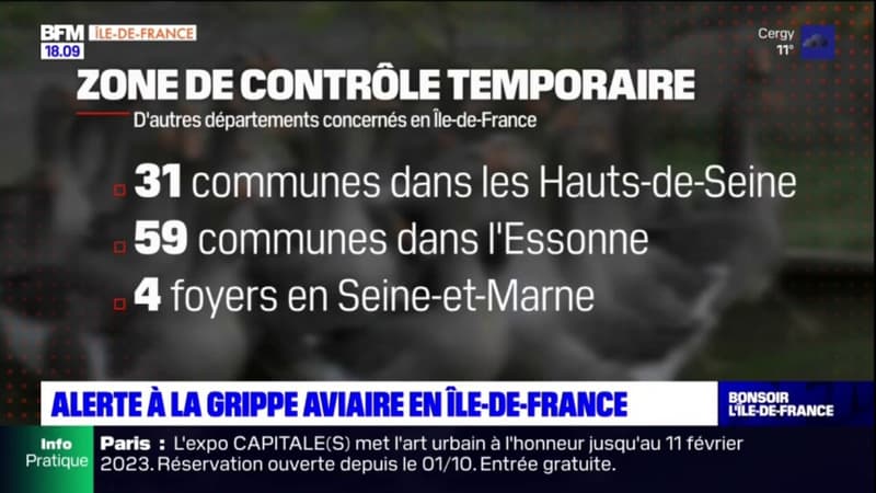 Île-de-France: la région en alerte après des cas de grippe aviaire