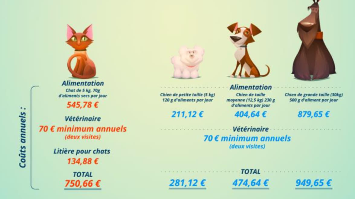 Le coût annuel d'un chat et d'un chien en fonction de leur taille
