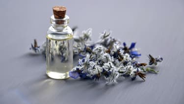 Ce sera au consommateur d'apprécier le degré d'authenticité des marques bio des uns et des autres.