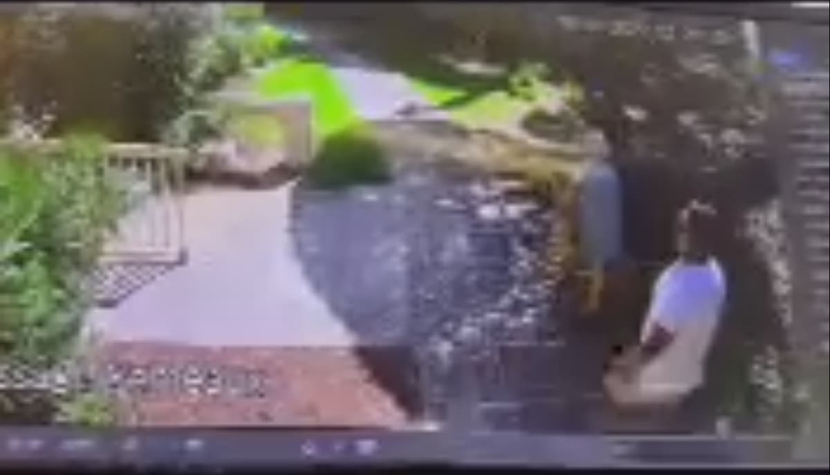 placeholder video