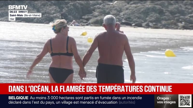 Été 2026: la température des océans atteint un niveau record
