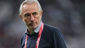 Bert van Marwijk 
