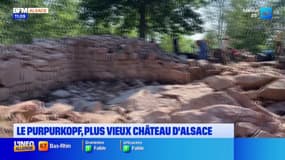 Des fouilles archéologiques au Purpurkopf, le plus vieux château d'Alsace