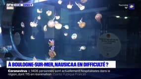 Boulogne-sur-Mer: en difficulté financière, l'aquarium Nausicaa rouvre ses portes jeudi