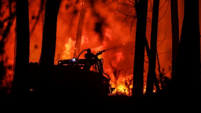 Des pompiers luttent contre un feu de forêt, le 11 août 2022 à Belin-Beliet (Gironde)