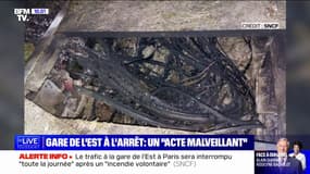Le trafic à la gare de l'Est sera interrompu "toute la journée" à cause d'un acte de malveillance