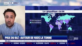 Arthur Portier (Agritel) : Le blé, cette arme "géopolitique" - 07/03